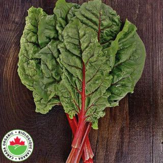 Ruby Red Organic Swiss Chard Thumbnail